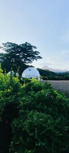 Nekoli Glamping at the Foothills of Mt Meru