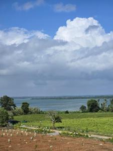 Aura Kabini by Tripture