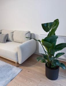 Old Town Bulwar Apartment