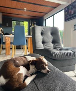 Cabaña el mirador azul