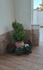 Villa Rosaria Triscina di Selinunte