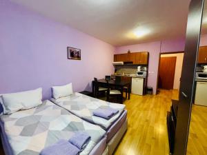 Predela 1 - Studio 10 near Bansko Ski Lift