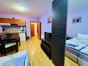 Predela 1 - Studio 10 near Bansko Ski Lift