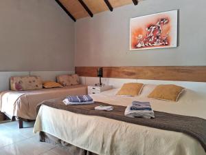 Pousada Juriti - Eco Hotel