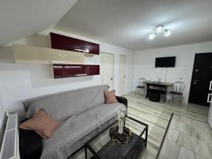Apartament în Caransebeș