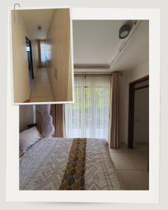 Awali Estate & 1255 Palm Ridge Estate