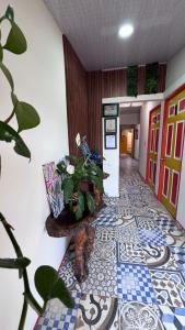 Apartahotel Bareque centro