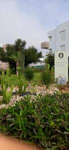 bel appartement avec piscine résidence taflout immioudar taghazout agadir