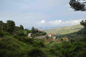 Villa Shanti - Isola dElba