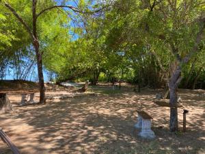 Flor de Lótus Camping