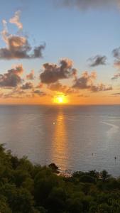 Flor de Lótus Camping