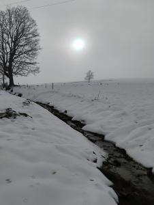 Tygiel Krzywa, Beskid Niski