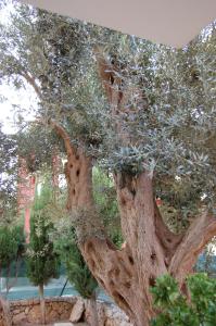 Apartamento en la playa