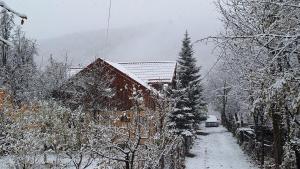 Memory Lane Cottage – Posada