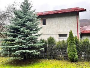Memory Lane Cottage – Posada