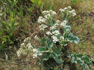 4 person holiday home in Ærøskøbing-By Traum