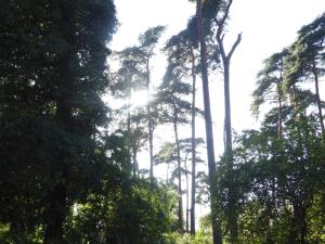 4 person holiday home in Bogense-By Traum