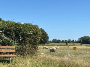 Cozy Retreat with Sauna - By Traum Ferienwohnungen