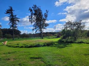 6 person holiday home in Sæby-By Traum