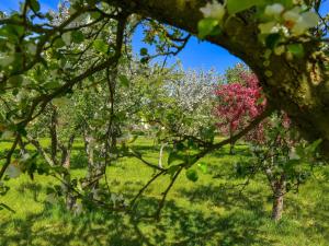 6 person holiday home in Sæby-By Traum