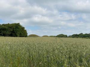 10 person holiday home in Ranum