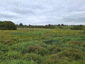 6 person holiday home in Tarm