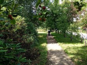 5 person holiday home in Sæby-By Traum