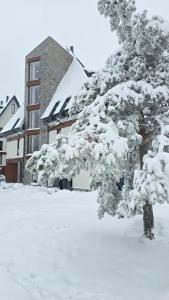 Borovi snovi Divčibare