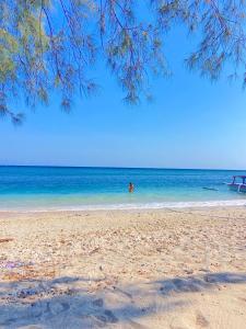 Four Elements Eco Dive Resort