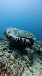 Four Elements Eco Dive Resort