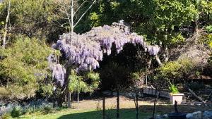 Waterview Gardens B&B