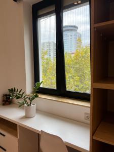 Tirana Urban Oazis -Central & Steps to Attractions