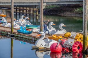 Vintage Beach Cottage