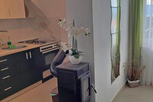 Apartments with parking space Skrbcici, Krk - 25009