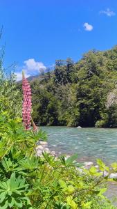 El Bolson Low Cost Departamentos