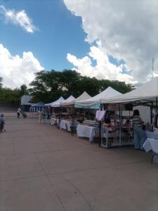 Departamento todo a mano parque central