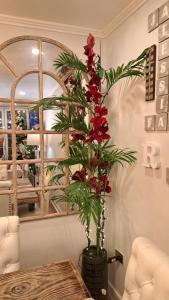 Casa Ramos Salamanca - Airport pick up and off service - Homestay