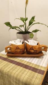 Baguio Megatower 7 City and Country Place