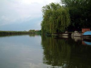 Holiday home in Bekesszentandras 20542