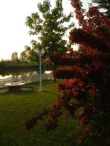 Holiday home in Bekesszentandras 20542