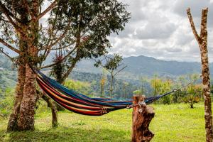 Escápate a la montaña cabaña y desconexión total