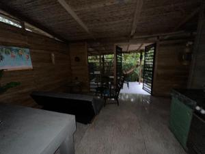 Cahuitas red frog house