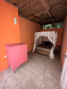 Cahuitas red frog house