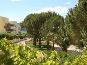 MIMOSES XI B BXS 2 - Bonito y agradable apartamento en planta baja, situado a 150 m de la playa de Grifeu - ES-228-205