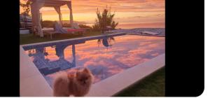 Stelvio ocean Island