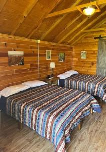 Scenic Bear Cabin - Near Cherohala Skyway & Rivers