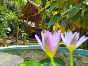 Sandalwood Safari Cottages