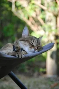 Les Chambres De La Loge - Pindray