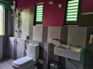 Ceylon Traveller Homestay for Foreign Tourists