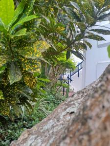 Okeanós View - 4 Akrotiri